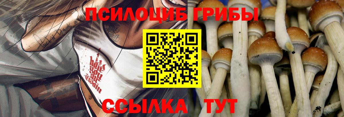 Псилоцибиновые грибы Psilocybine cubensis  Псилоцибиновые грибы прущие грибы  Вход с VPN  Благовещенск 