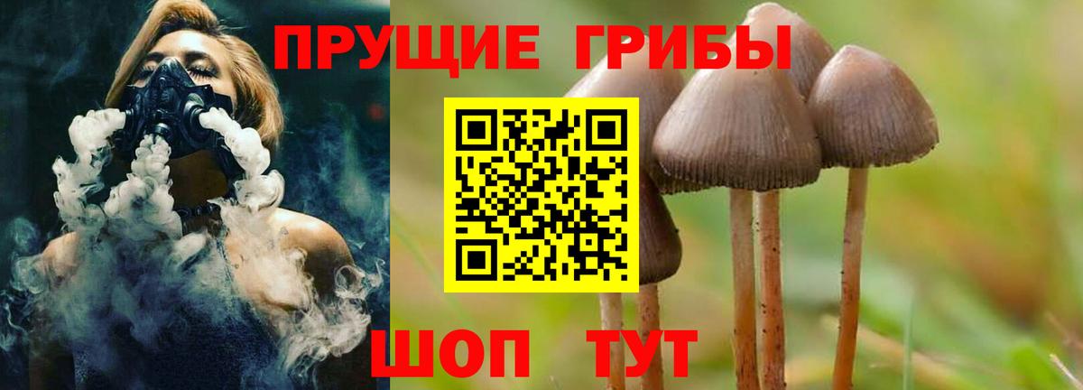 Псилоцибиновые грибы прущие грибы Благовещенск